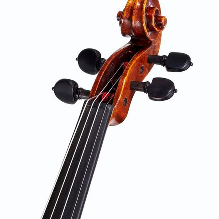Alto Gewa Maestro 41 Viola 16 » Test, Comparatif et Avis