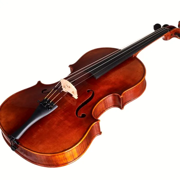 Alto Gewa Maestro 41 Viola 16 » Test, Comparatif et Avis