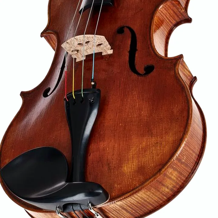 Alto Scala Vilagio F.H. A. Guarneri Viola 1676 Test, Avis et Comparatif