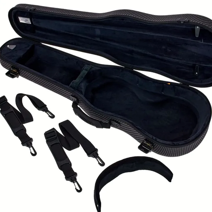 Alto Scala Vilagio F.H. A. Guarneri Viola 1676 Test, Avis et Comparatif