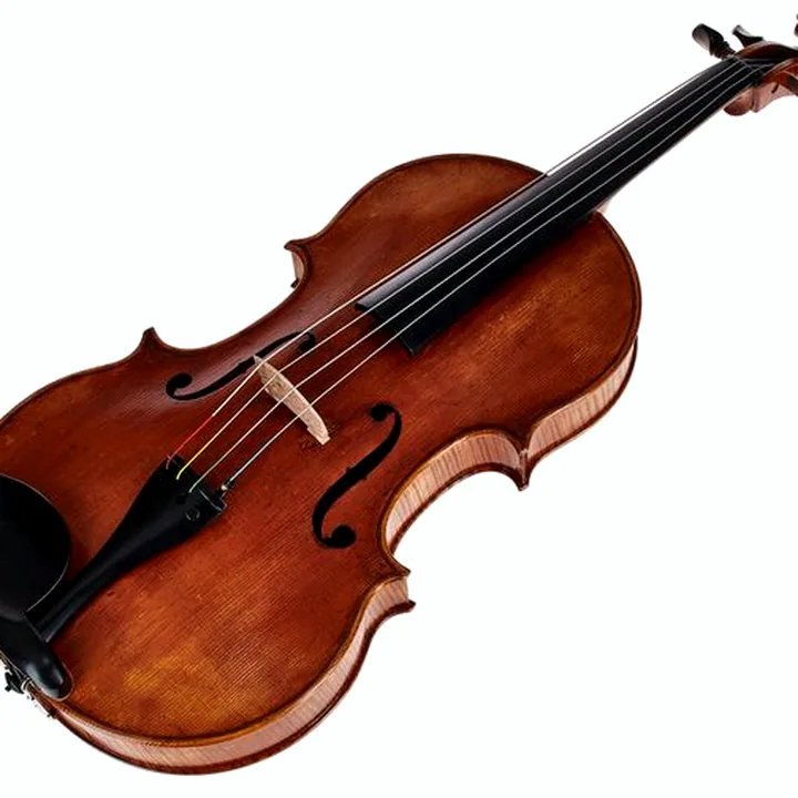 Alto Scala Vilagio F.H. A. Guarneri Viola 1676 Test, Avis et Comparatif