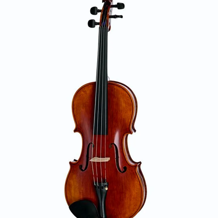 Alto Stentor SR1876 Elysia Viola 16,5″ , Test, Comparatif & Avis