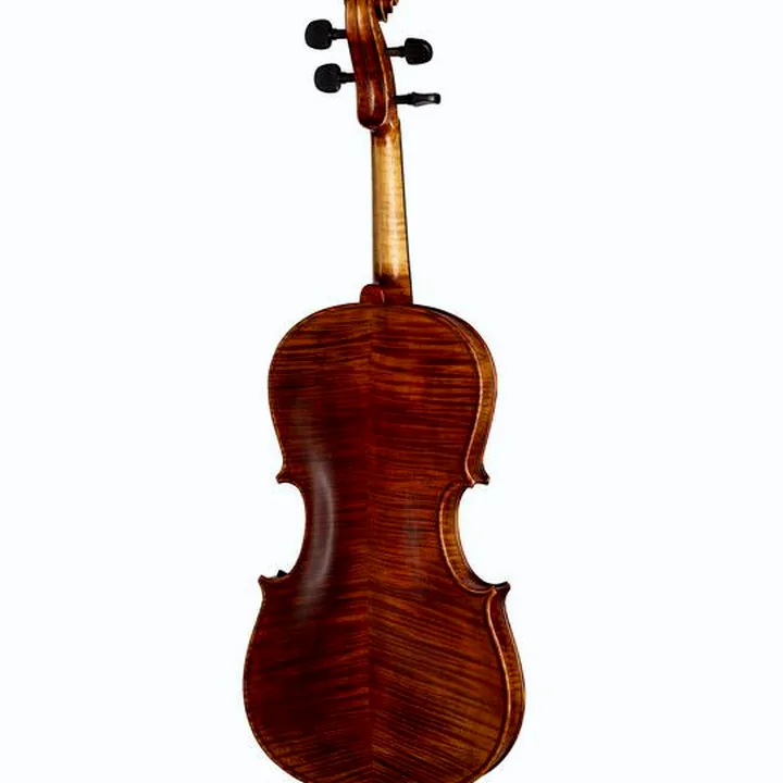 Alto Stentor SR1877 Viola Arcadia 15,5″ – Test, Avis