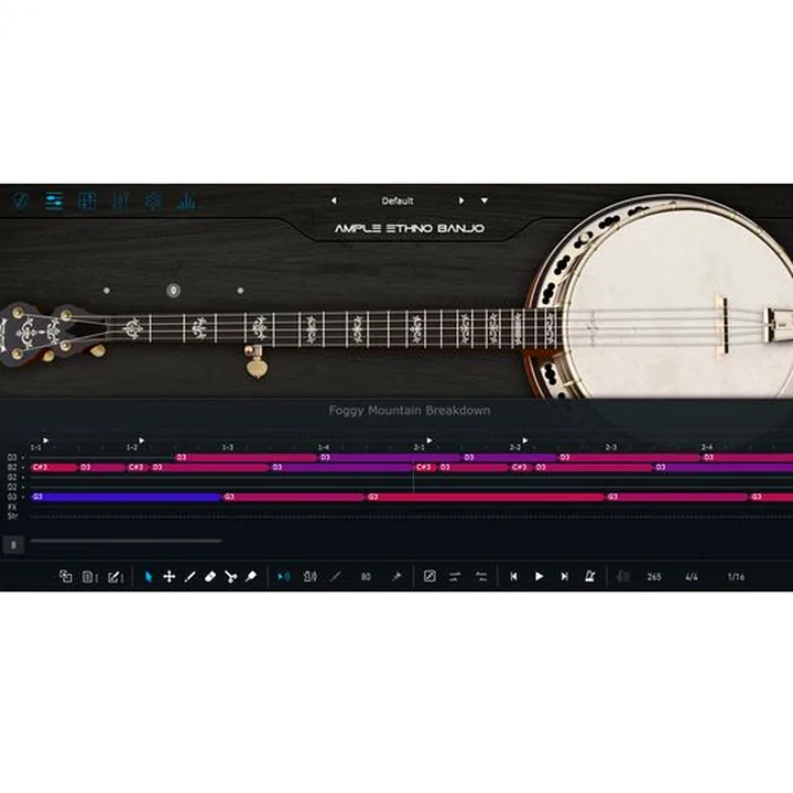 Ample Sound Ample Ethno Banjo – Test, Avis et Comparatif