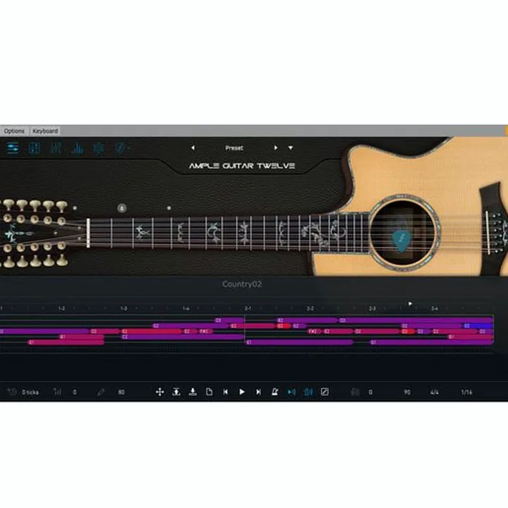 Ample Sound Ample Guitar Twelve III / Avis et Test