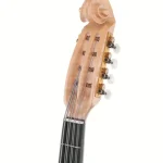 Atsushi Miyano Mandoloncello MC-4 MR / Avis, Test