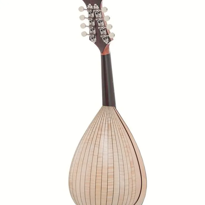 Atsushi Miyano Round Back Mandolin M-2 MG – Avis et Test