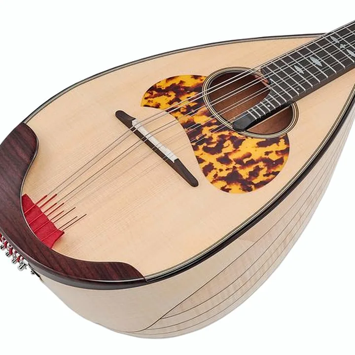 Atsushi Miyano Round Back Mandolin M-2 MG – Avis et Test