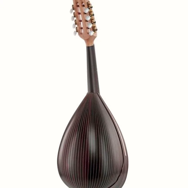 Atsushi Miyano Round Back Mandolin M-3 RR : Avis, Test et Comparatif