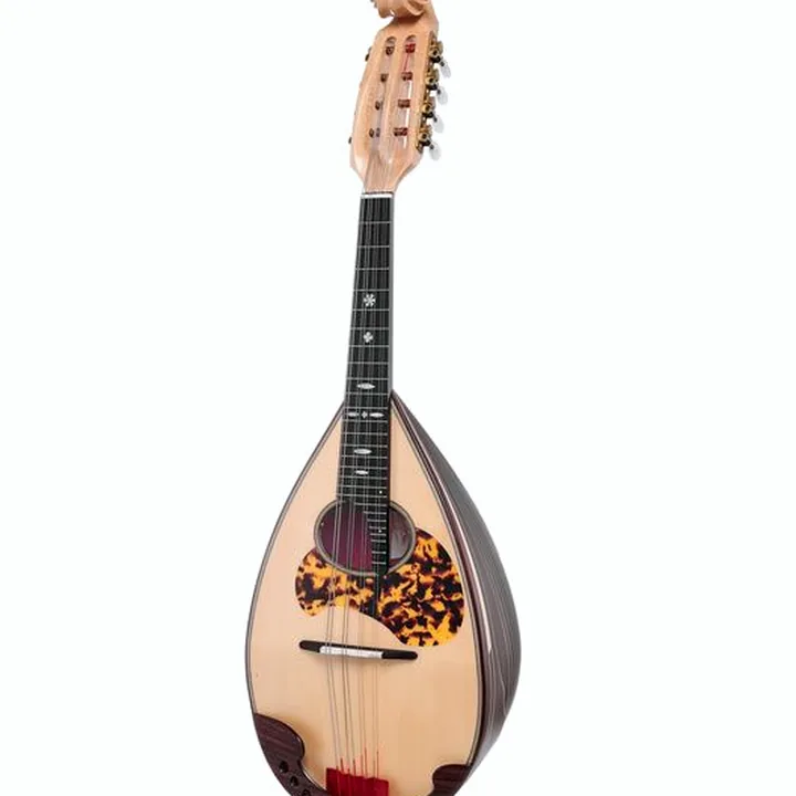 Atsushi Miyano Round Back Mandolin M-3 RR : Avis, Test et Comparatif