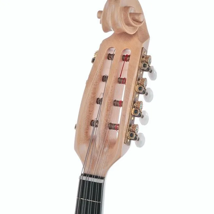 Atsushi Miyano Round Back Mandolin M-3 RR : Avis, Test et Comparatif