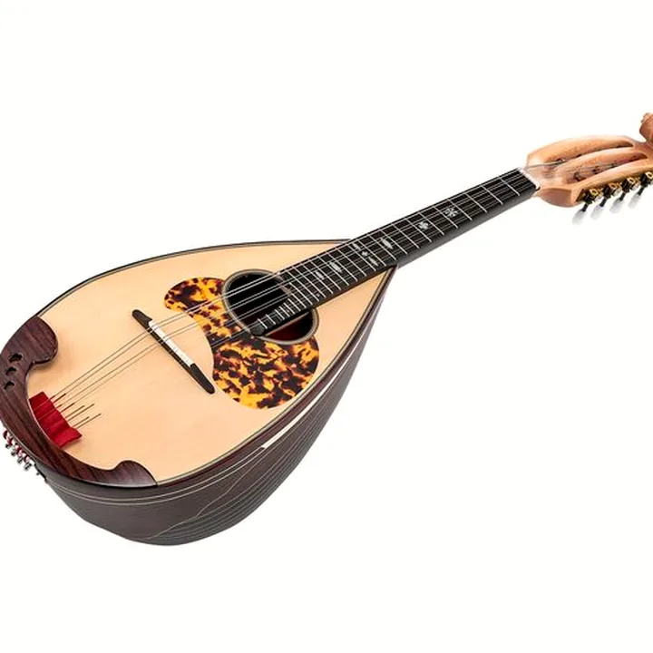 Atsushi Miyano Round Back Mandolin M-3 RR : Avis, Test et Comparatif