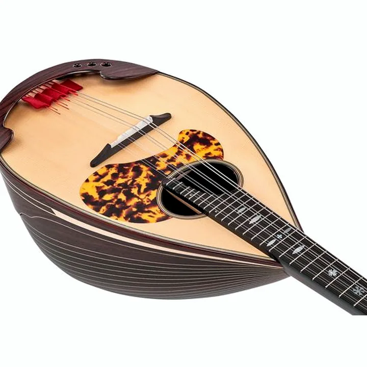 Atsushi Miyano Round Back Mandolin M-3 RR : Avis, Test et Comparatif