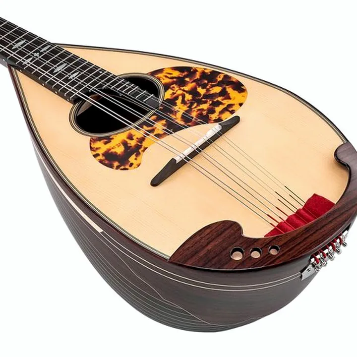 Atsushi Miyano Round Back Mandolin M-3 RR : Avis, Test et Comparatif