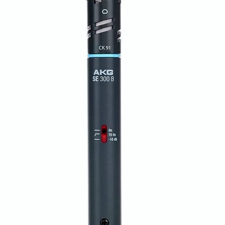 Le micro AKG C 391 B , Comparatif, Avis, Test