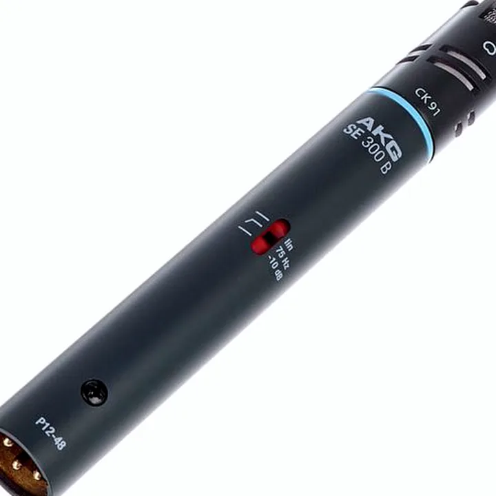 Le micro AKG C 391 B , Comparatif, Avis, Test