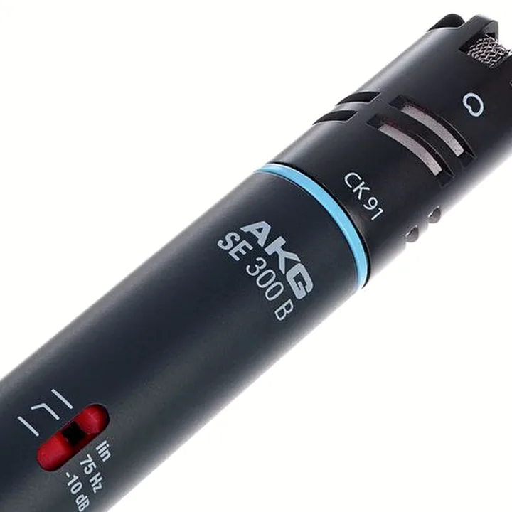 Le micro AKG C 391 B , Comparatif, Avis, Test