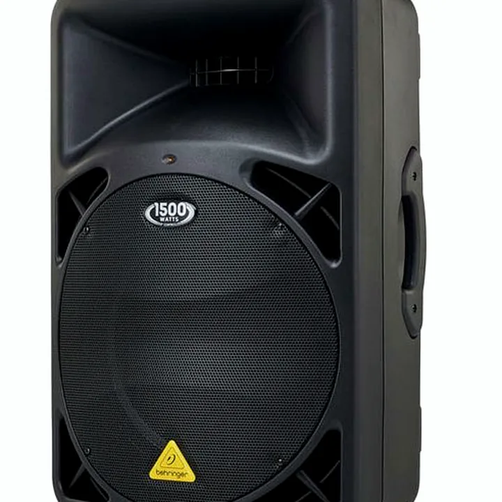 Avis et Test : Behringer B615D