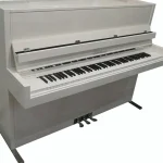 Avis et Test : Blüthner Model D white