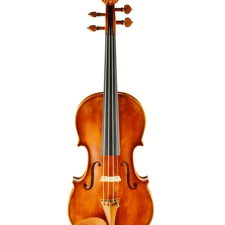 Avis et Test : Conrad Götz Signature Cantonate 123 Violin