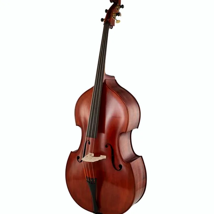 Avis et Test de la contrebasse Georg Walther Concert Double Bass 3/4 RBA