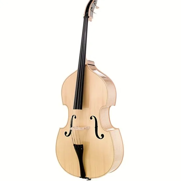 Avis et Test de la contrebasse Thomann 11NA 3/4 Europe Double Bass