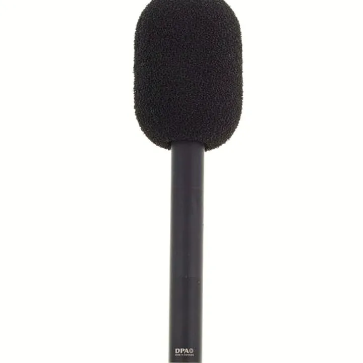 Avis et Test : DPA 4011A
