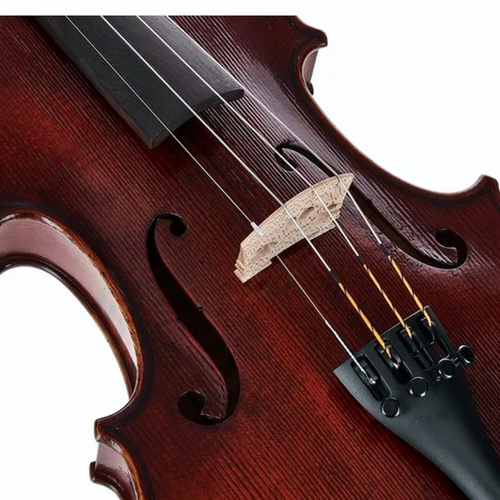 Avis, Test du violon Gewa Germania 11L Rom Ant. Violin