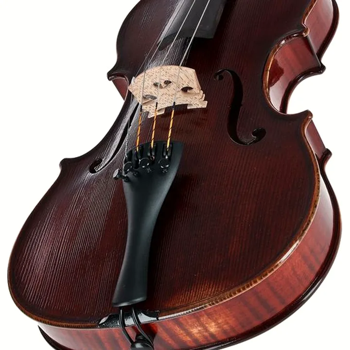 Avis, Test du violon Gewa Germania 11L Rom Ant. Violin