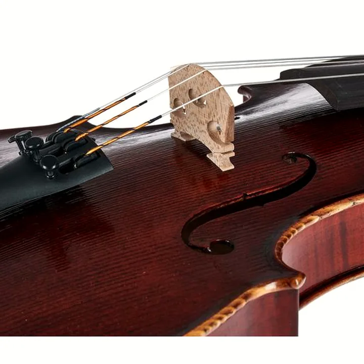 Avis, Test du violon Gewa Germania 11L Rom Ant. Violin