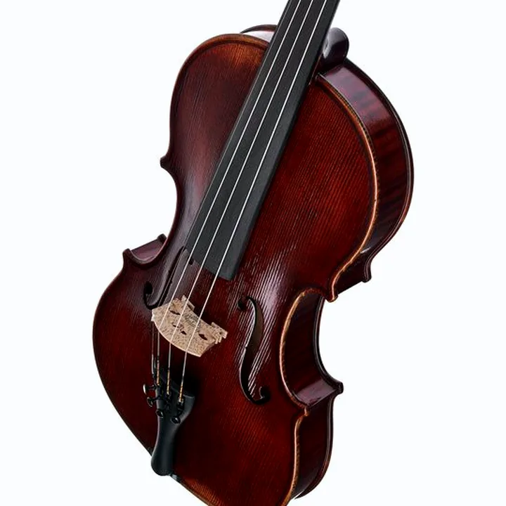 Avis, Test du violon Gewa Germania 11L Rom Ant. Violin