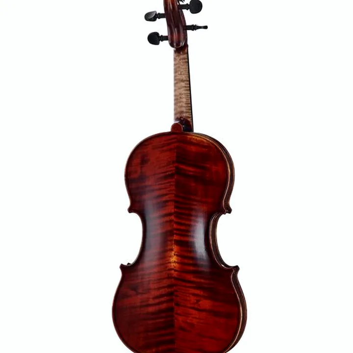 Avis, Test du violon Gewa Germania 11L Rom Ant. Violin