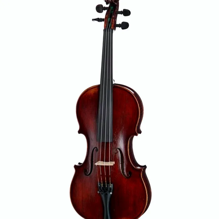 Avis, Test du violon Gewa Germania 11L Rom Ant. Violin