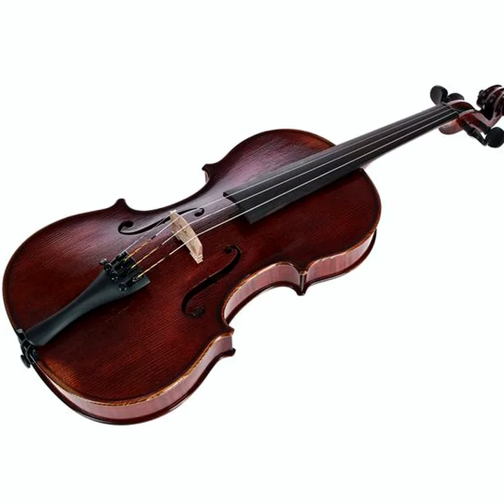 Avis, Test du violon Gewa Germania 11L Rom Ant. Violin