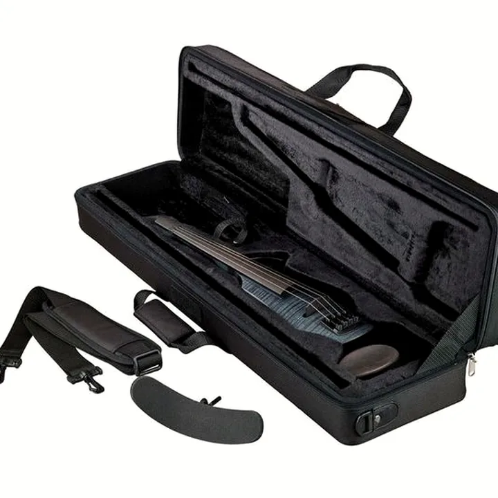 Avis et Test du violon NS Design CR4-VN-SG Electric Violin