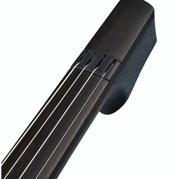 Avis et Test du violon NS Design CR4-VN-SG Electric Violin