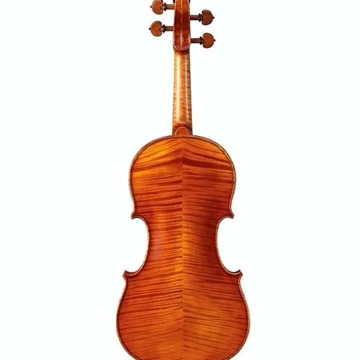 Le violon Yamaha V20 SG Violin Outfit 4/4 : Comparatif, Avis, Test