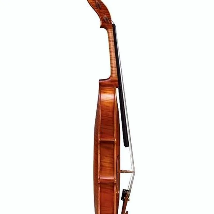 Le violon Yamaha V20 SG Violin Outfit 4/4 : Comparatif, Avis, Test