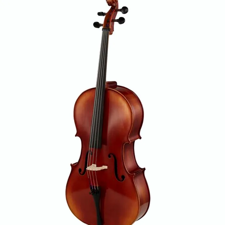 Avis et Test du violoncelle Gewa Ideale VC2 Cello Set 1/2 CB