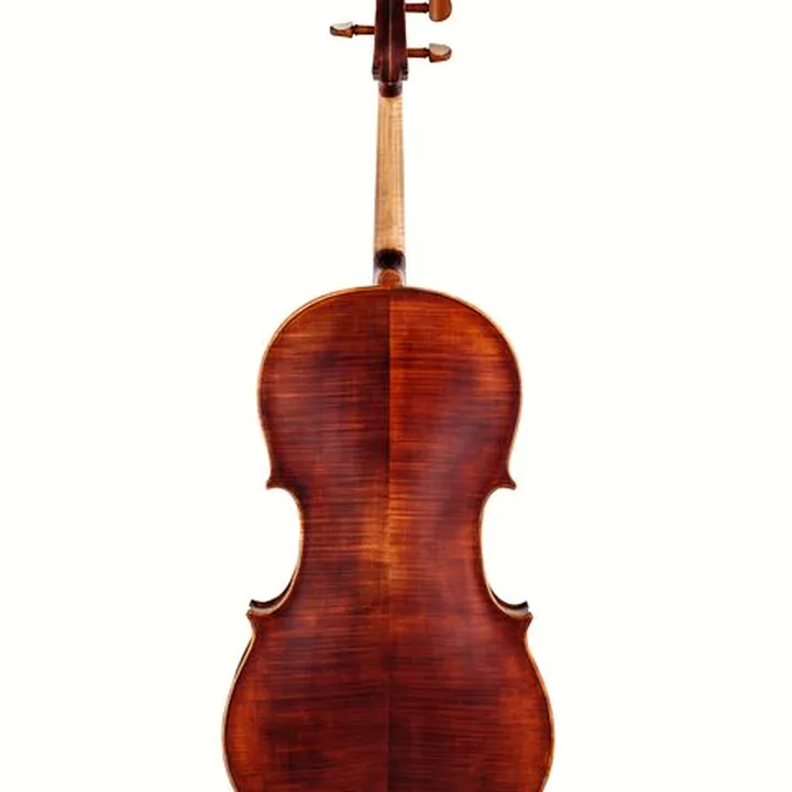 Avis et Test du violoncelle Roth & Junius Europe Orchestra Cello Set A/B