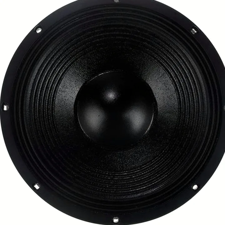 Avis et Test : Eighteensound 12NLW9300