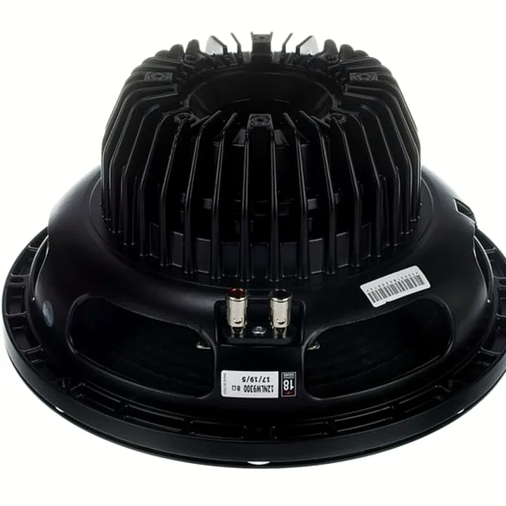 Avis et Test : Eighteensound 12NLW9300