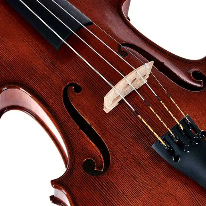 Avis et Test : Gewa Georg Walther Viola 16 » RB