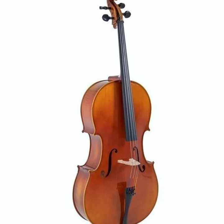 Avis et Test : Gewa Maestro 1 Cello Set 1/4 CB