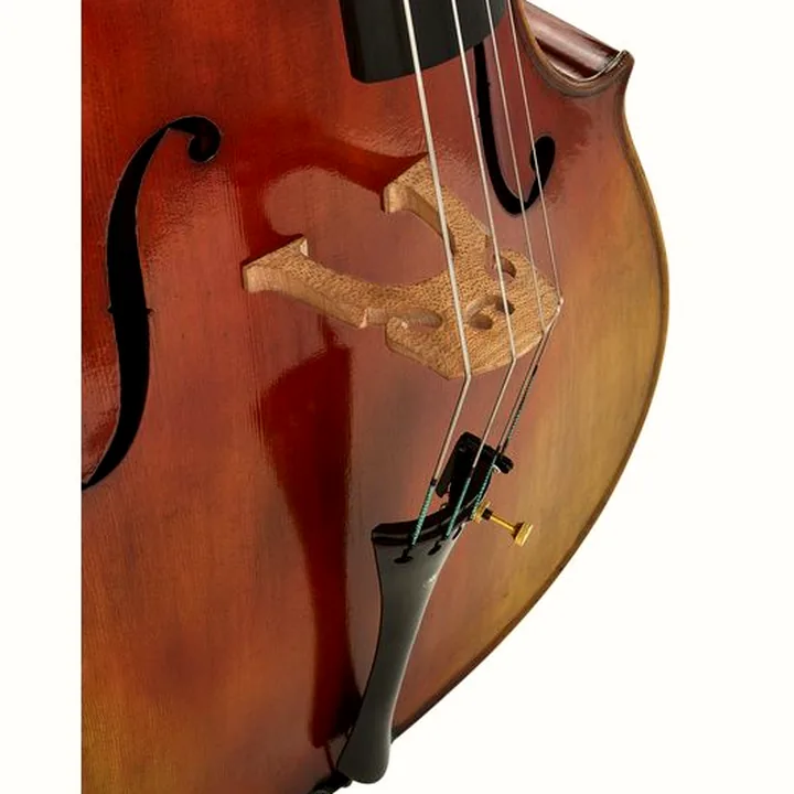 Avis et Test : Hidersine Preciso Cello Set 4/4