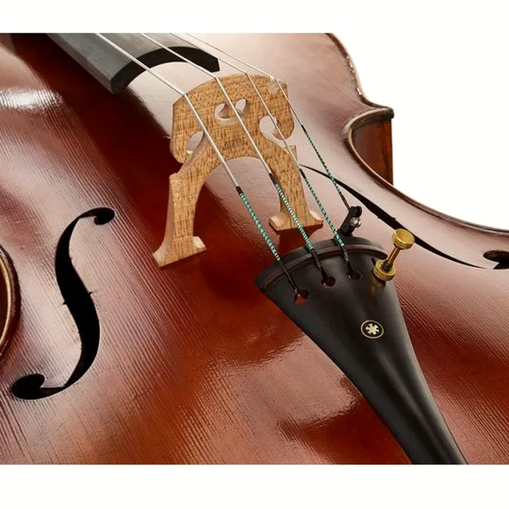 Avis et Test : Hidersine Preciso Cello Set 4/4