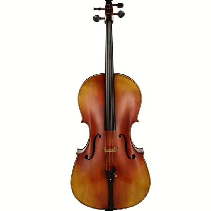 Avis et Test : Hidersine Preciso Cello Set 4/4