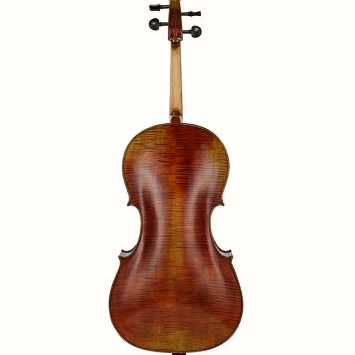Avis et Test : Hidersine Preciso Cello Set 4/4