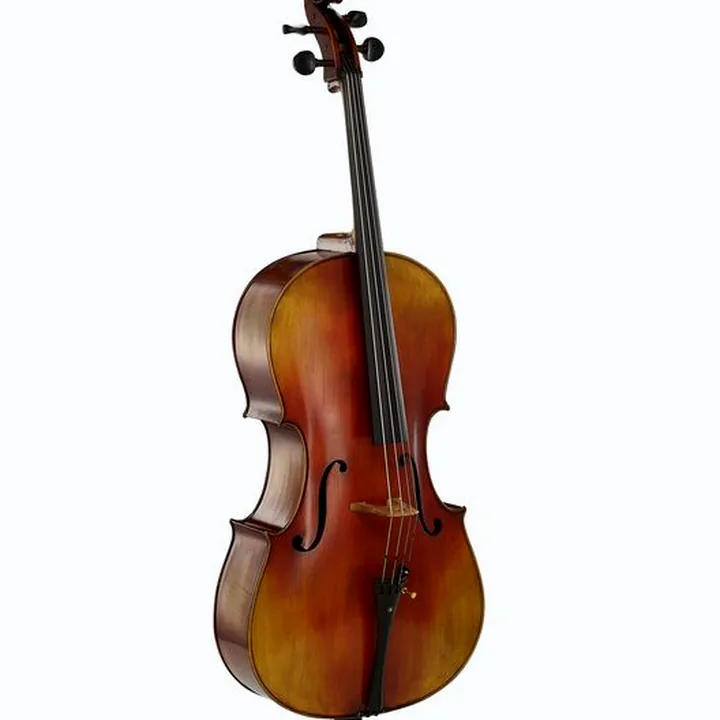 Avis et Test : Hidersine Preciso Cello Set 4/4