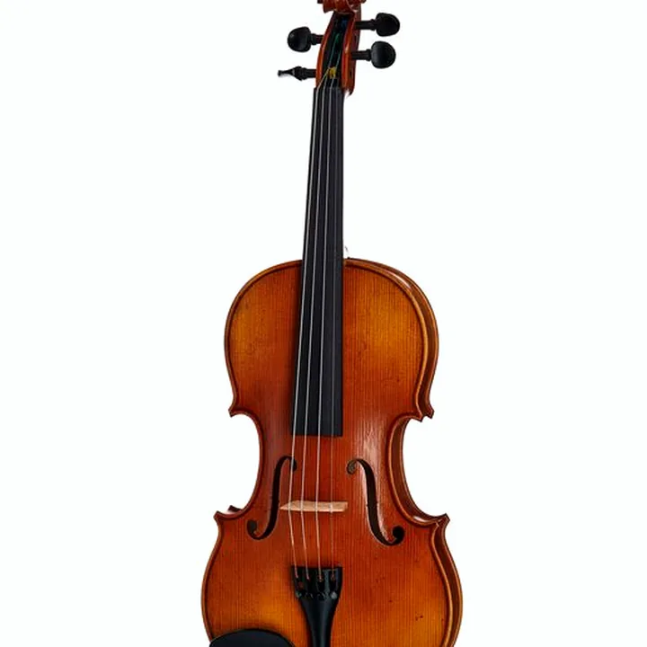 Violon Karl Höfner H11E-V Violin 4/4 – Test, Avis